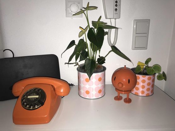 Bild von Lucy120696 Bild von Lucy120696