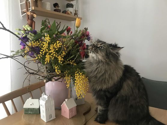 Bild von Lucy120696 Bild von Lucy120696