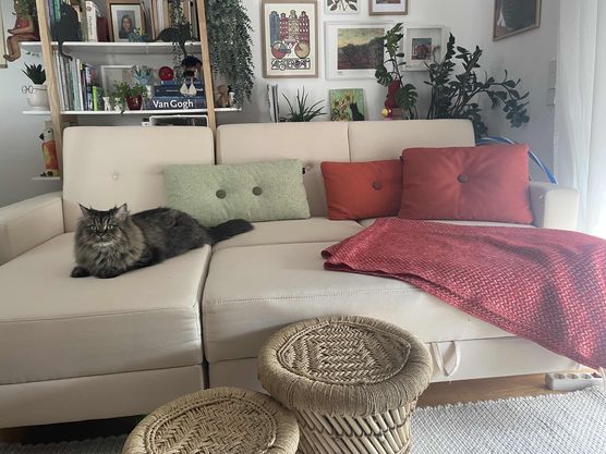 Bild von Lucy120696 Bild von Lucy120696