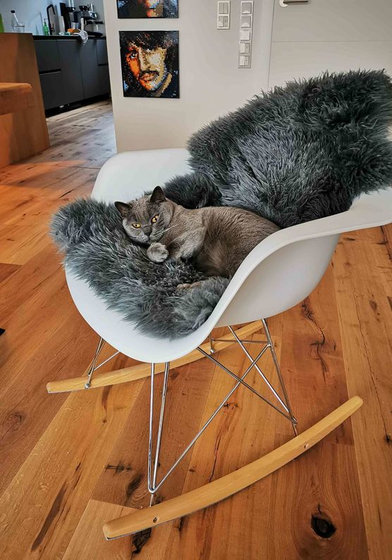 Bild von neongolden Bild von neongolden