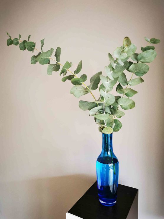 Bild von neongolden Bild von neongolden