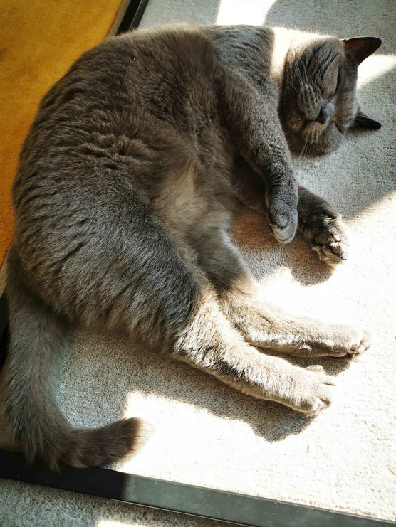 Bild von neongolden Bild von neongolden