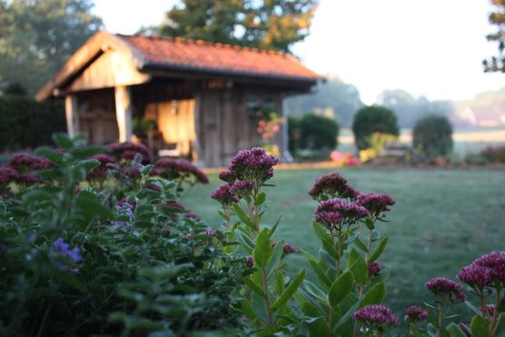 Bild von Froote Bild von Froote