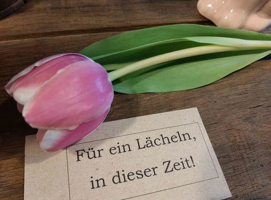 Bild von TaBo Bild von TaBo