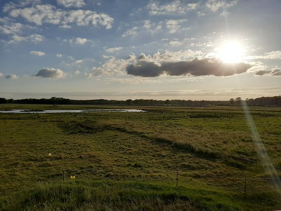 Fietzen sagen wir hier Fietzen sagen wir hier