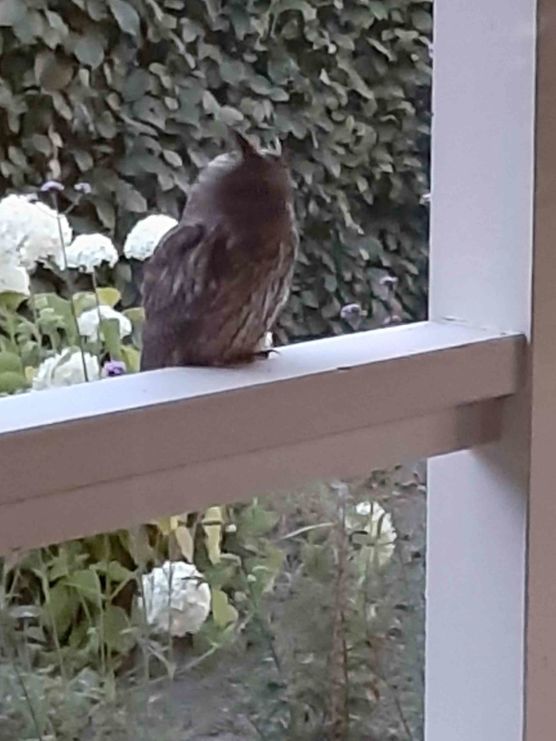 Bild von TaBo Bild von TaBo