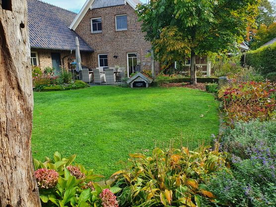 Heute noch mal im Heute noch mal im