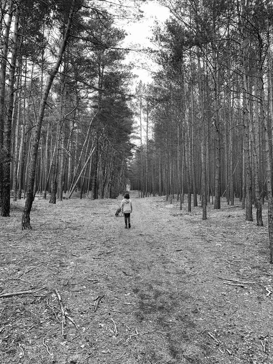 Bild von Anne Lambrich Bild von Anne Lambrich