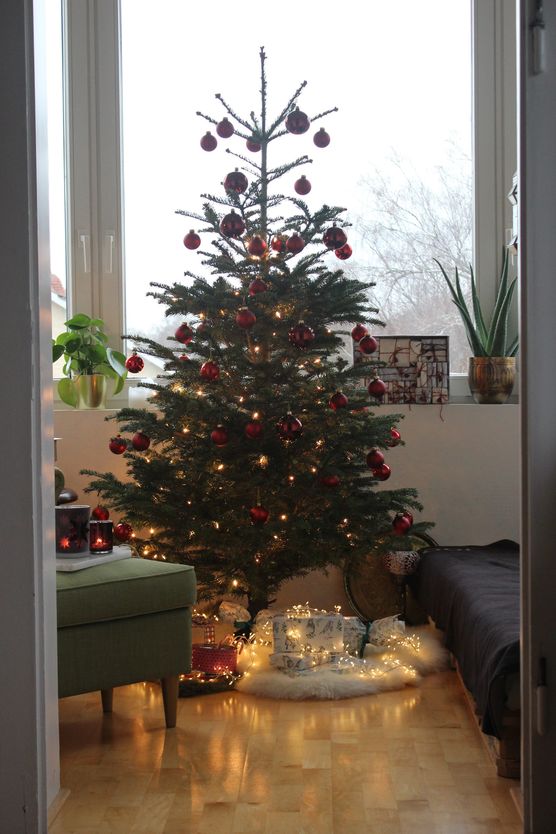 Da ist er endlich! Da ist er endlich!