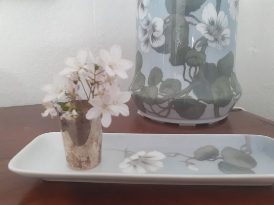 Stillleben: zarten Blüten in Stillleben: zarten Blüten in