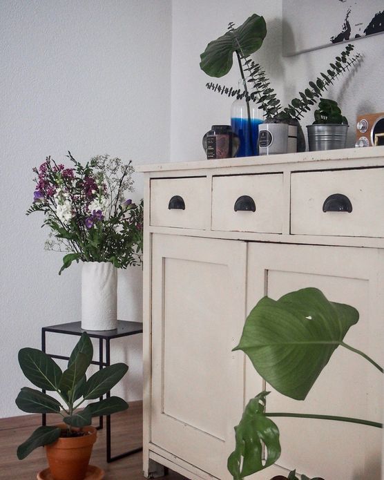 Frühlingserwachen Frühlingserwachen