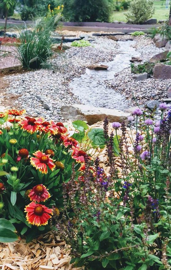 Bild von Wibbelfutt Bild von Wibbelfutt