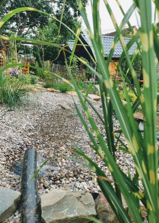 Bild von Wibbelfutt Bild von Wibbelfutt