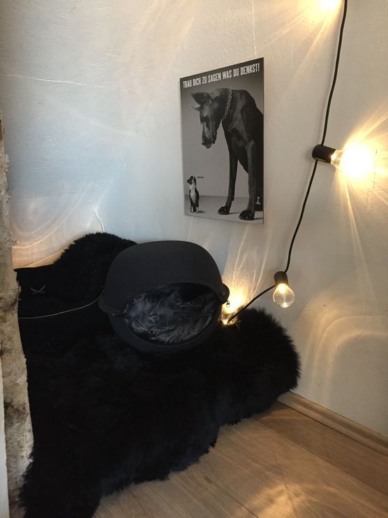 Hundeecke ....... Hundeecke .......