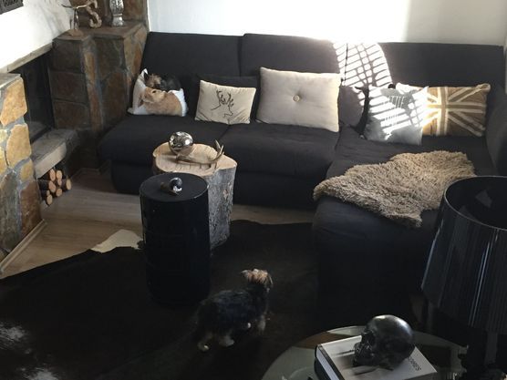 Die Sonne schaut schon ein bisschen rein.... Die Sonne schaut schon ein bisschen rein....