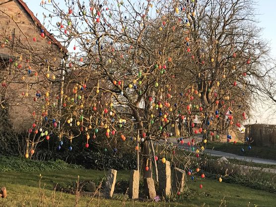 Bild von Susanheja Bild von Susanheja