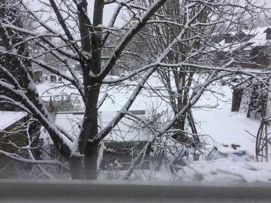 Wenn ich mich auf Wenn ich mich auf