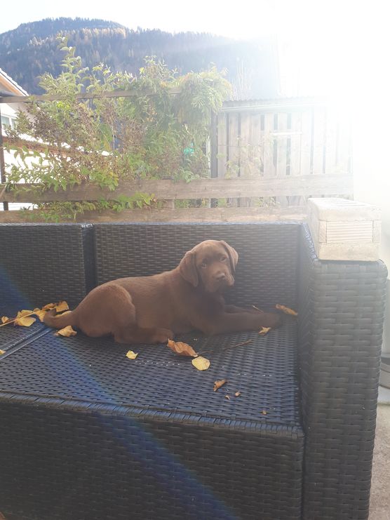 10 Wochen alt und 10 Wochen alt und