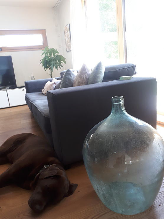 Sogar Filou, unser Hund, Sogar Filou, unser Hund,