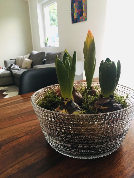 Bild von Elisabeth Schmidt Bild von Elisabeth Schmidt