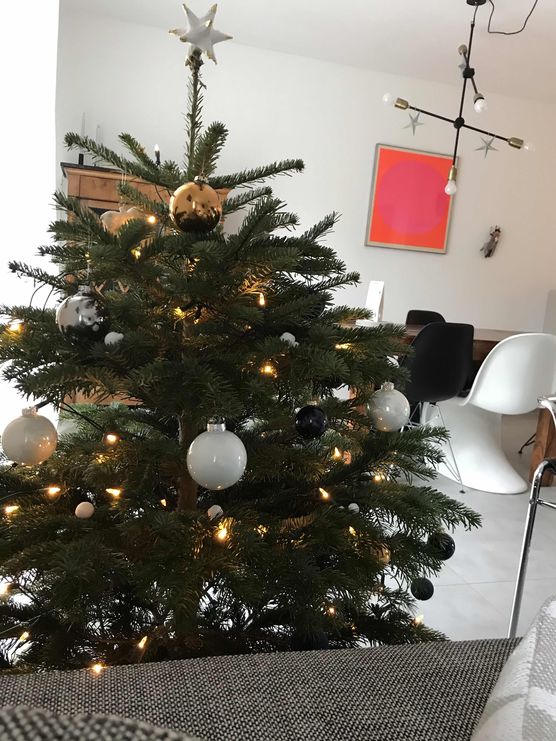 Bild von Elisabeth Schmidt Bild von Elisabeth Schmidt