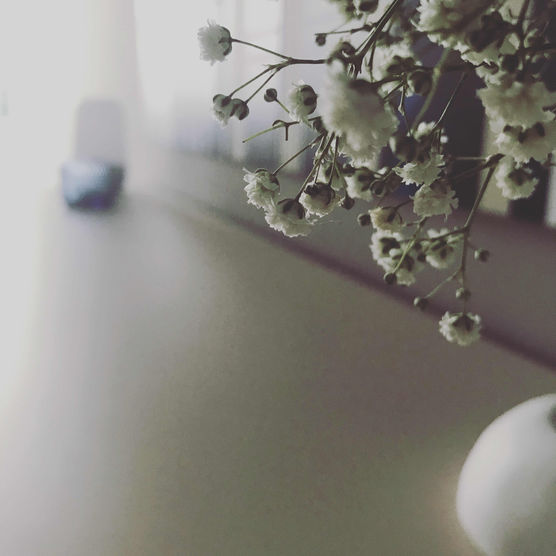 Bild von Elisabeth Schmidt Bild von Elisabeth Schmidt