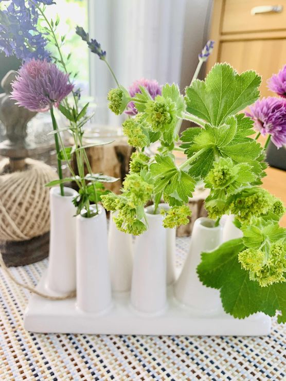 Bild von SiKa-S Bild von SiKa-S