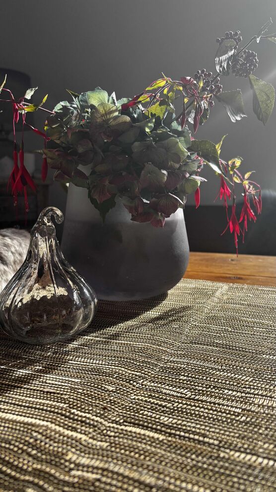 Bild von SiKa-S Bild von SiKa-S