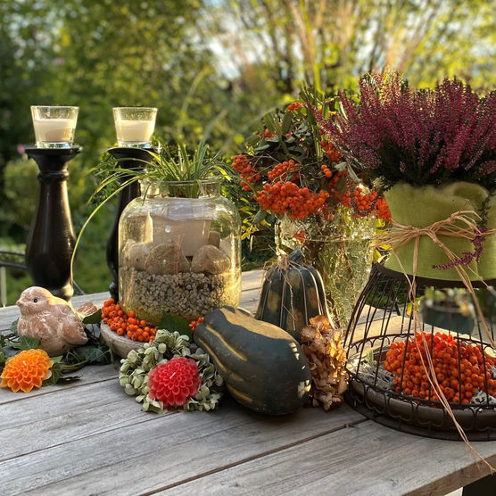 Farbe & Fülle des Farbe & Fülle des