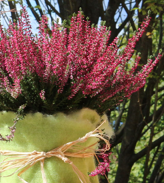 Ich mag diese Farbe. Ich mag diese Farbe.