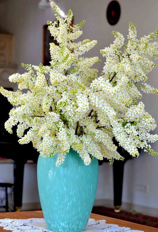 Bild von Madame Roseinlove Bild von Madame Roseinlove