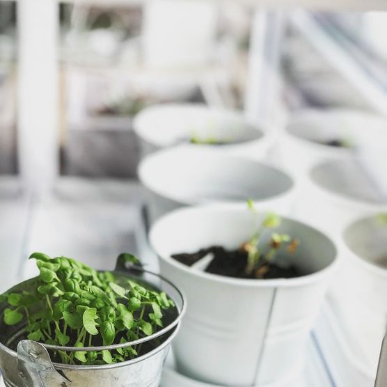 Bild von Kyooelle Bild von Kyooelle