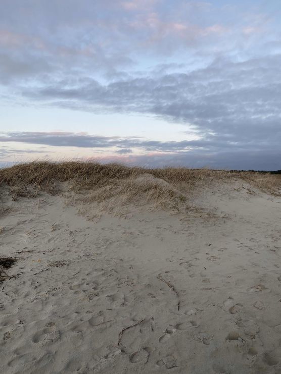 Bild von JennyM. Bild von JennyM.