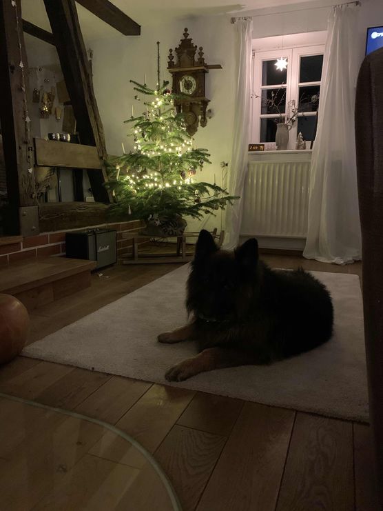 Bild von Schwarzes Bild von Schwarzes