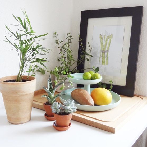 Neue Mitbewohner Neue Mitbewohner