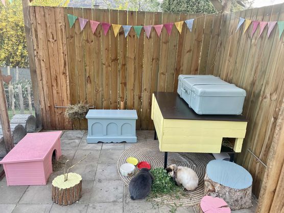 Bild von va.Nessi Bild von va.Nessi