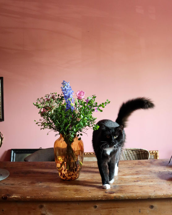 Bild von Rosawolken Bild von Rosawolken