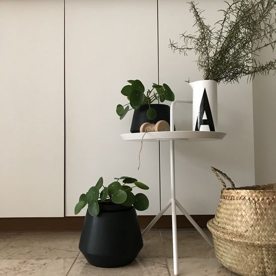 urban jungle urban jungle