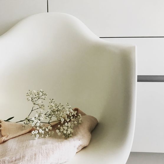 Schleierkraut forever Schleierkraut forever