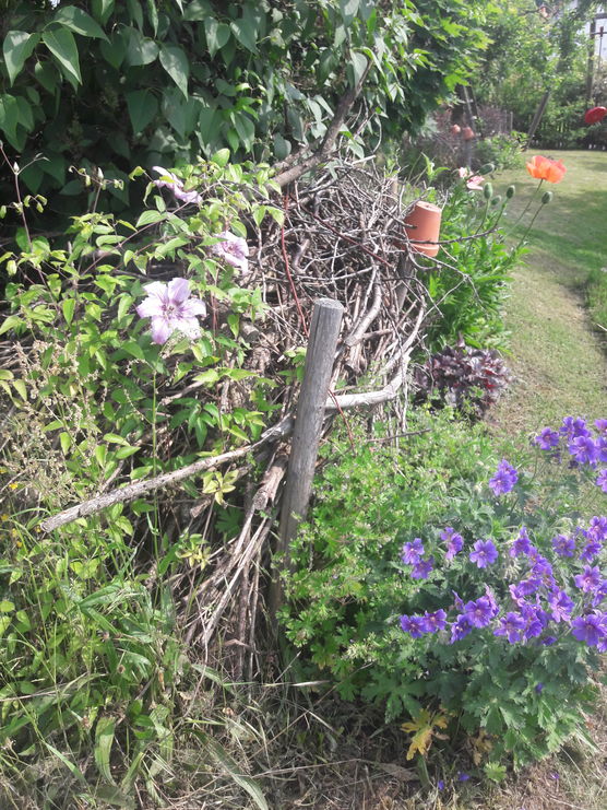 Von solchen Benjeshecken haben Von solchen Benjeshecken haben