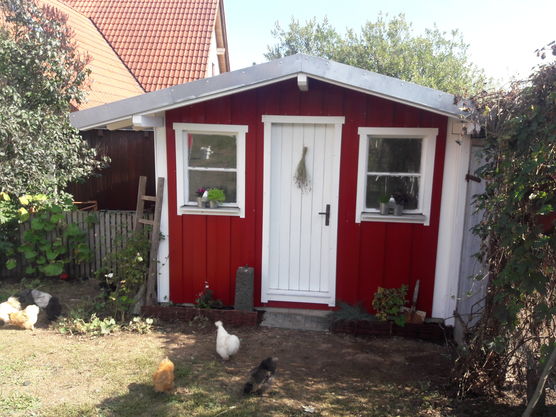 Der Stall unserer Zwergseidenhühnchen...die Der Stall unserer Zwergseidenhühnchen...die