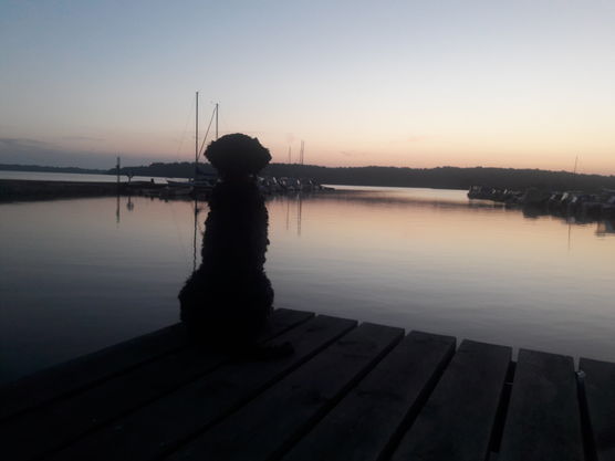 ♥️ Sverige ♥️ Sverige