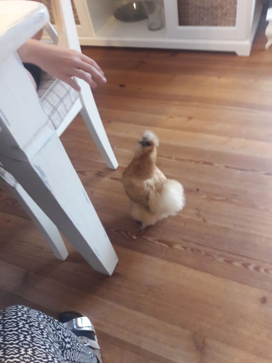 Da sitzen wir beim Da sitzen wir beim