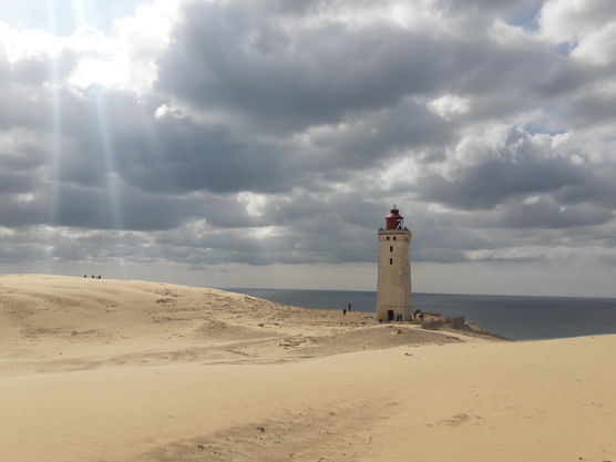 Bild von ina_im_garten Bild von ina_im_garten