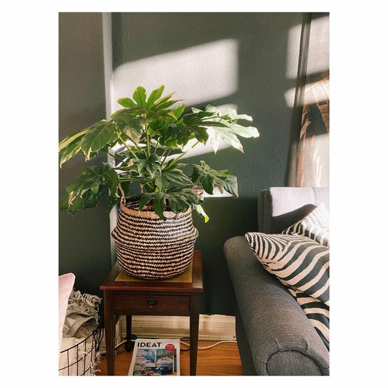 Bild von NicolaD Bild von NicolaD