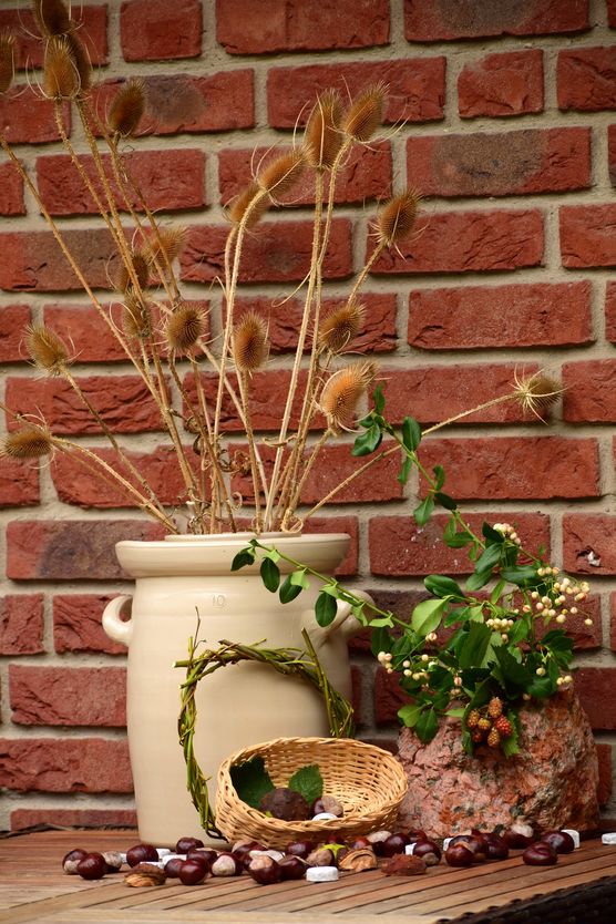 Nach einen Waldspaziergang habe Nach einen Waldspaziergang habe