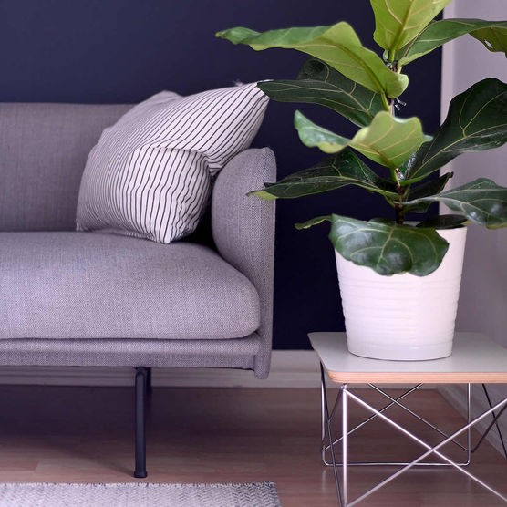 Bild von dede.th Bild von dede.th