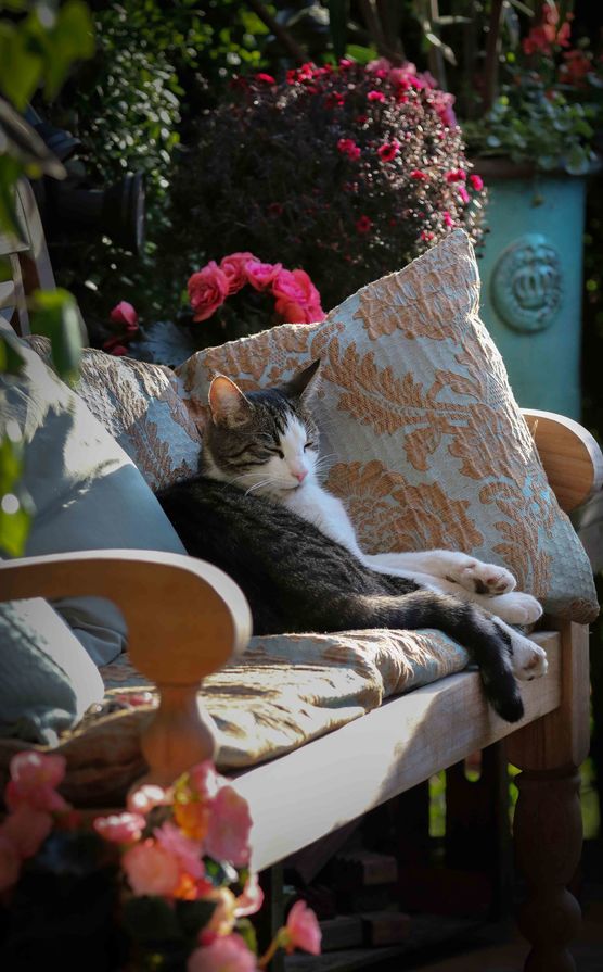 Bild von fiesebrise Bild von fiesebrise