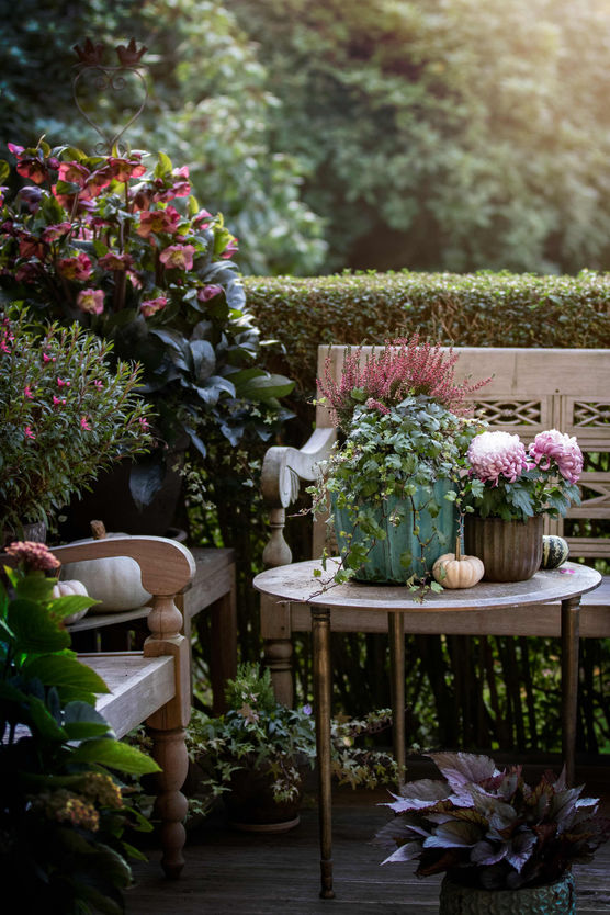 Bild von fiesebrise Bild von fiesebrise