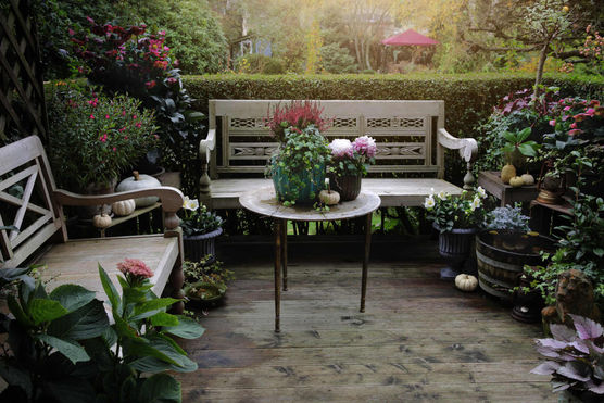 Bild von fiesebrise Bild von fiesebrise